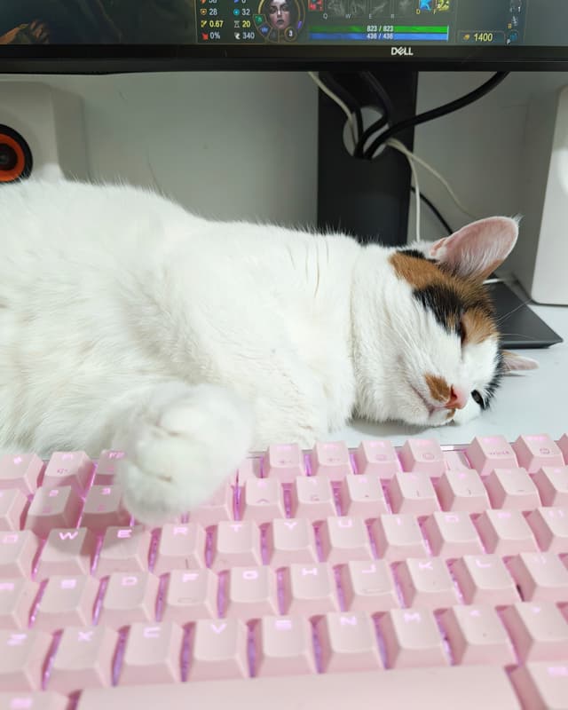 战绩差的根本原因