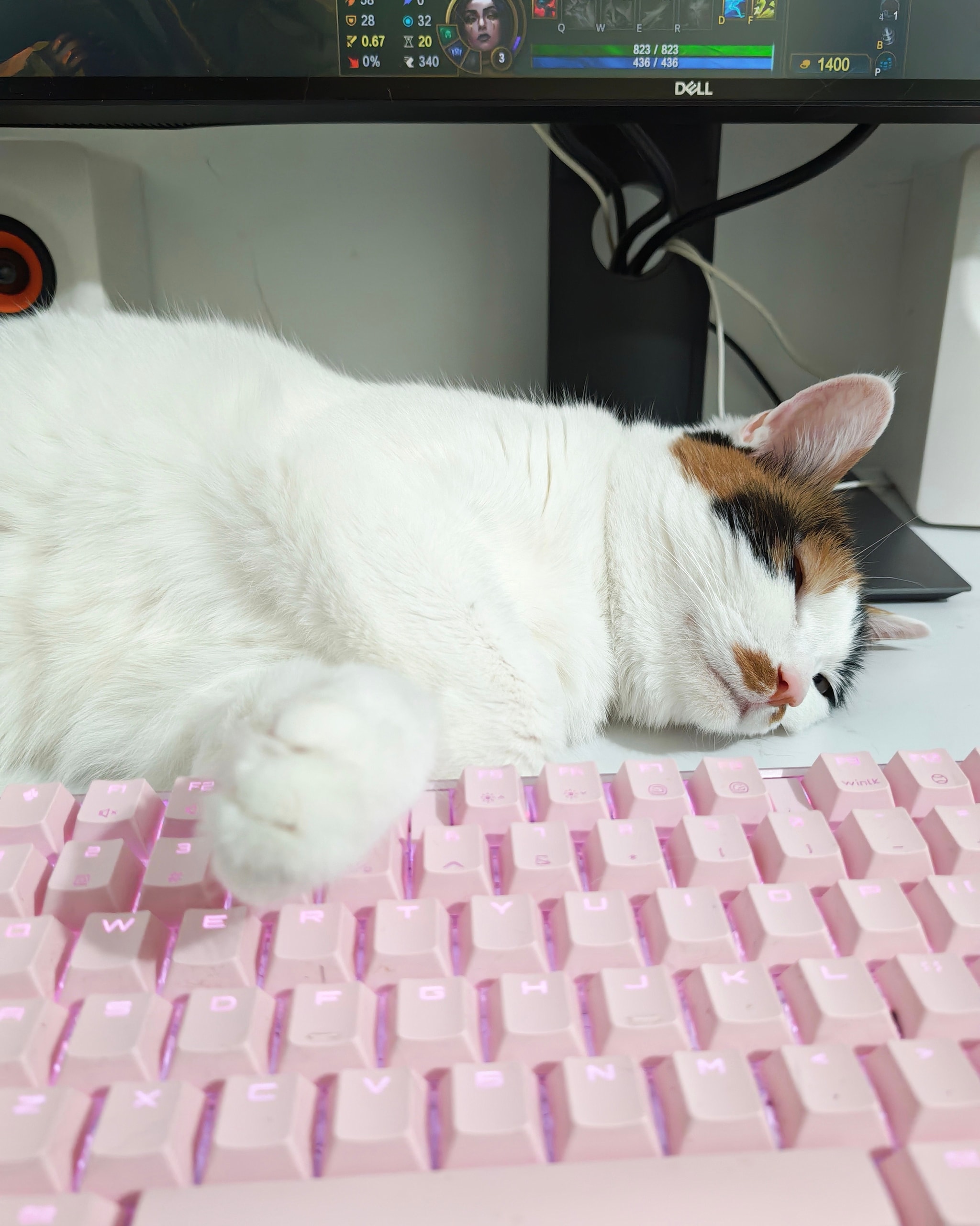 战绩差的根本原因